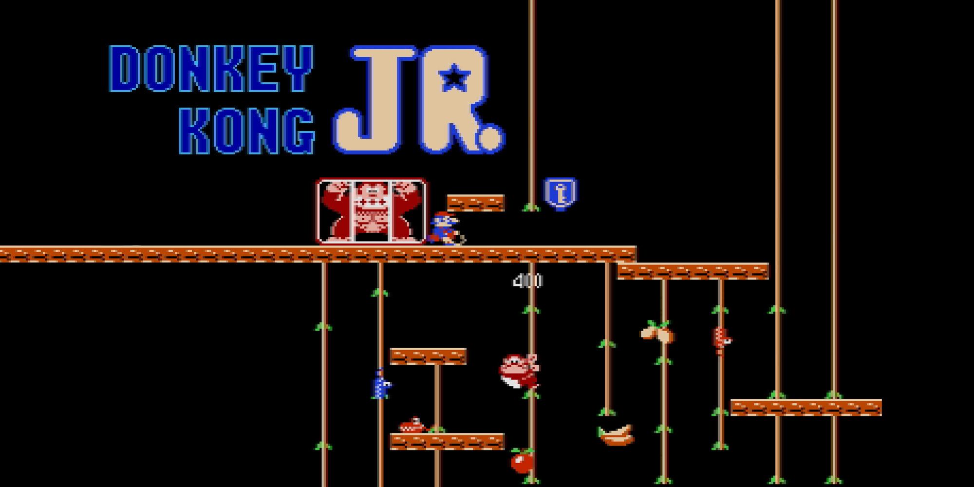 Donkey Kong Jr screenshot