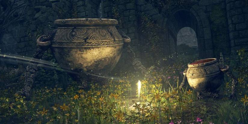 elden-ring-alexander-cake