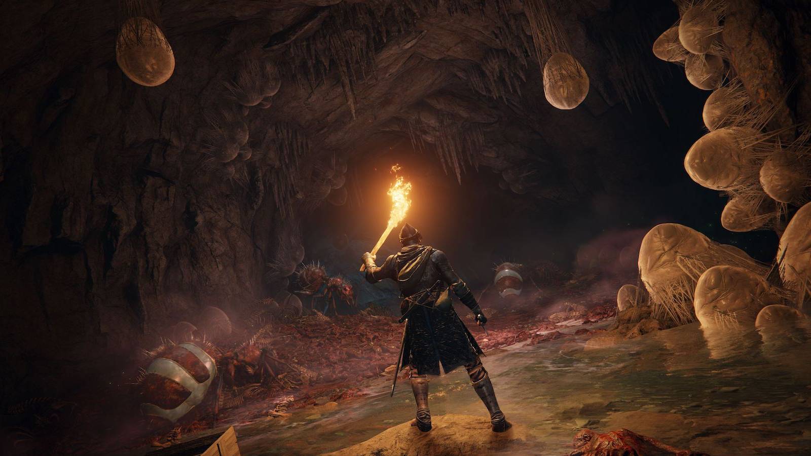 elden ring player beats game with torch