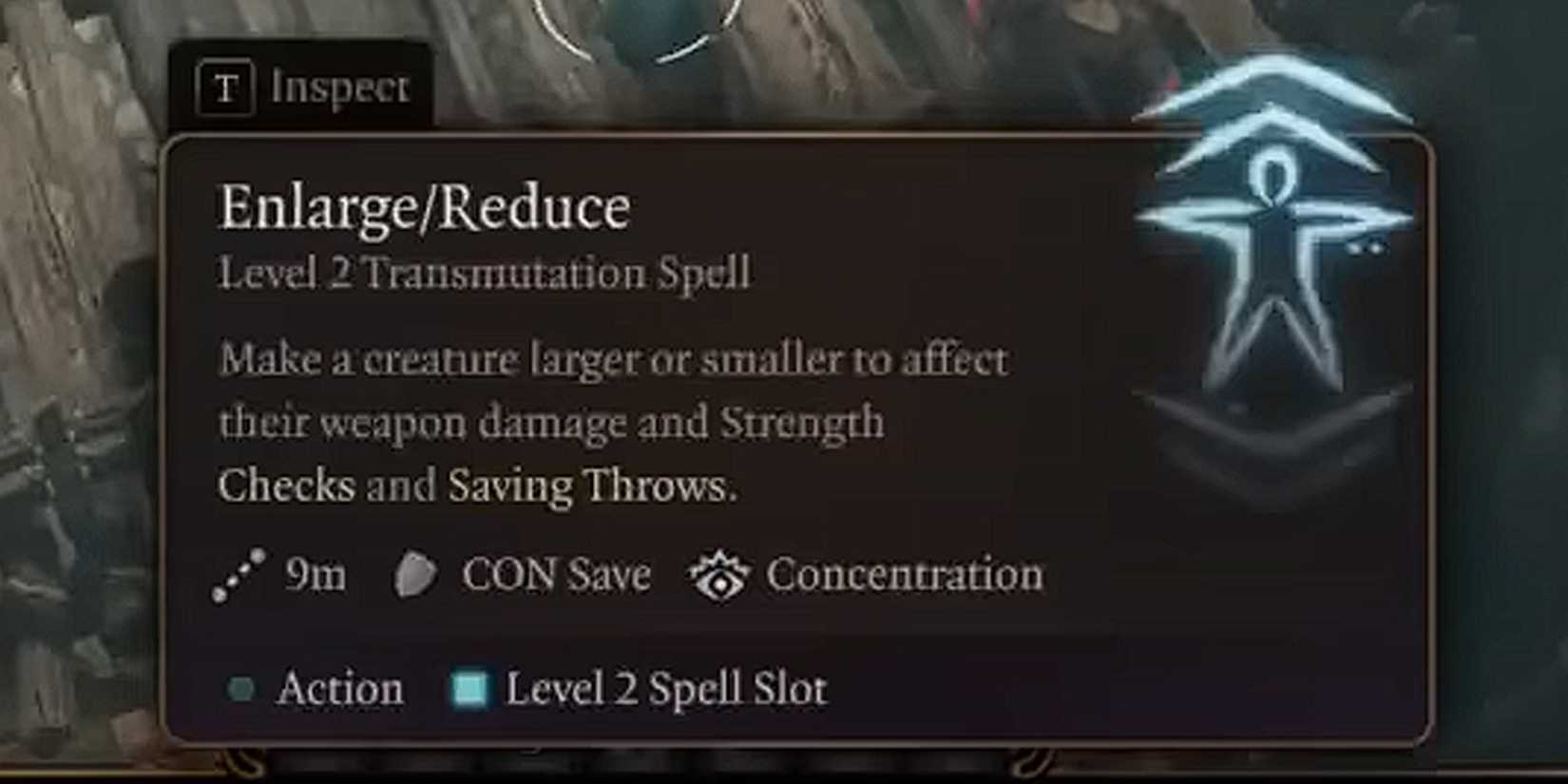 enlarge-reduce spell baldurs gate 3