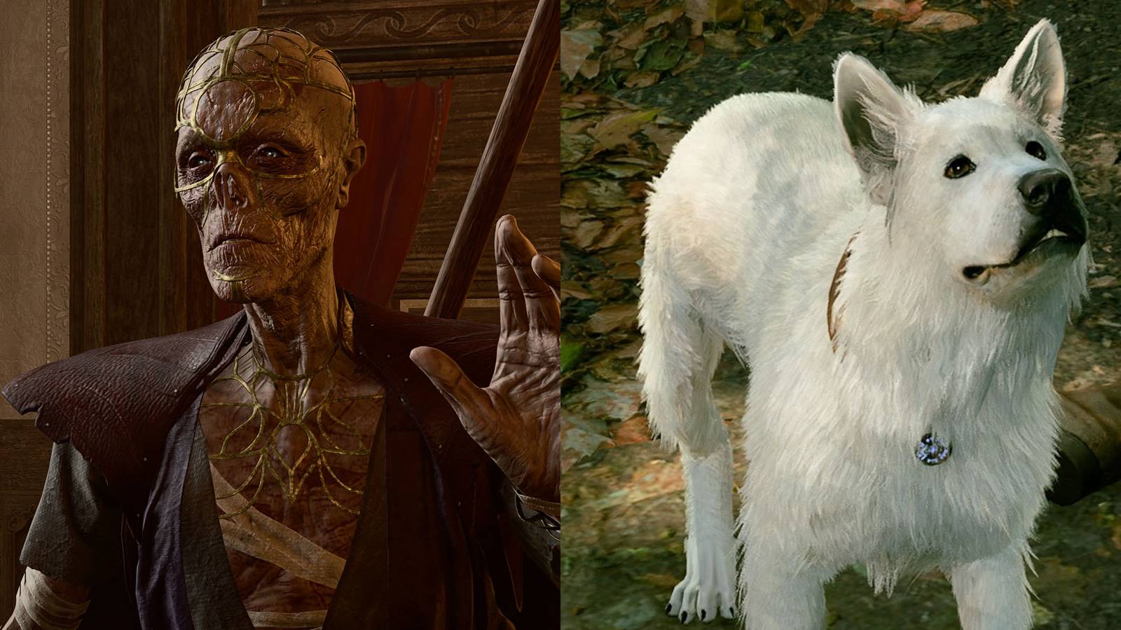 Featured - Baldurs Gate 3 - Every Character That Can Join The Camp