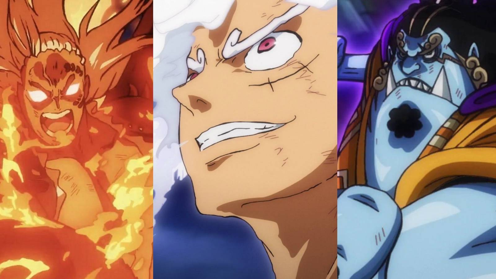 featured one piece all known races luffy king jimbei