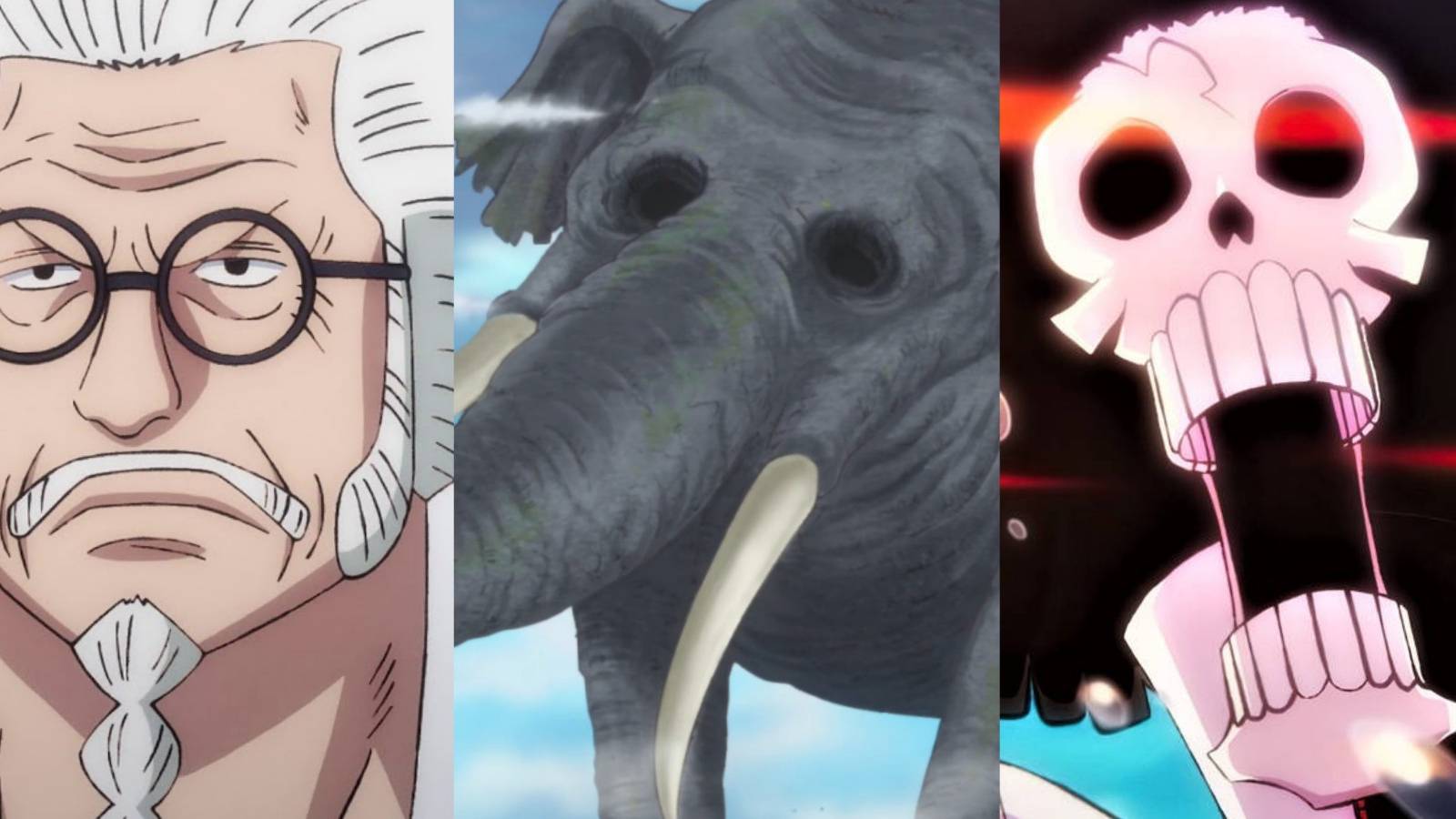 featured one piece oldest characters sengoku brook zunesha