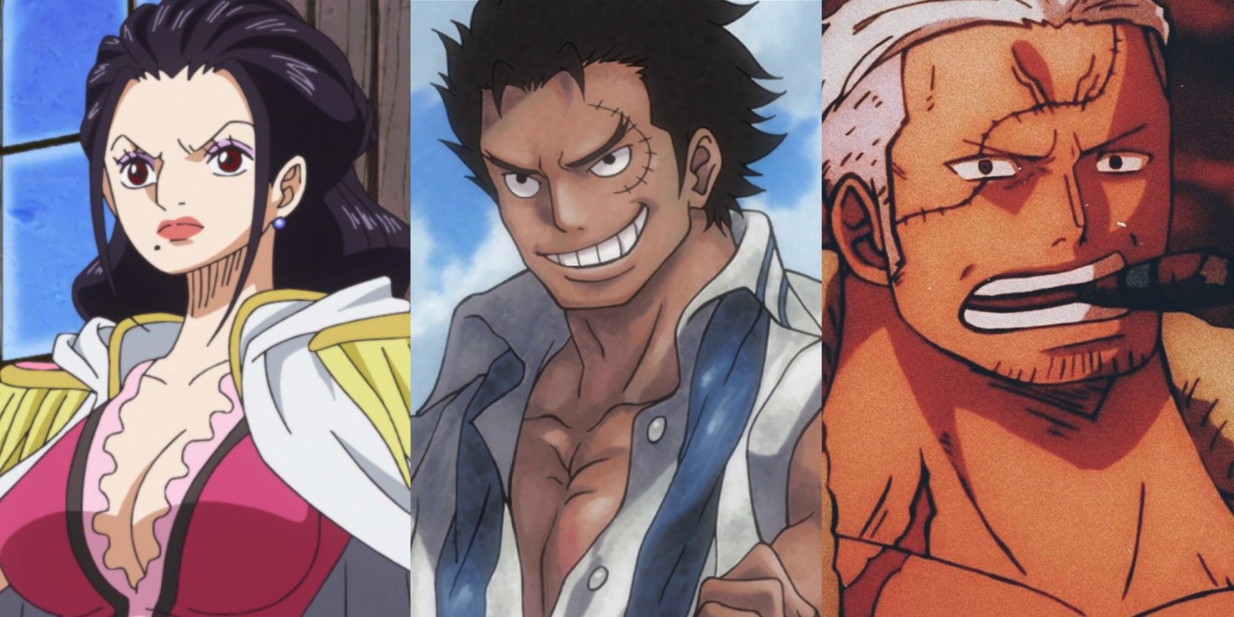 one piece - Why do all Marine Vice Admirals (and higher ranking
