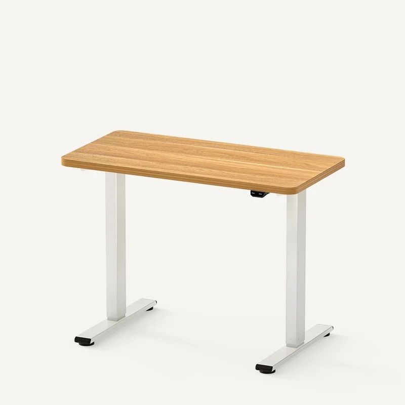 FlexiSpot Essential Standing Desk E2