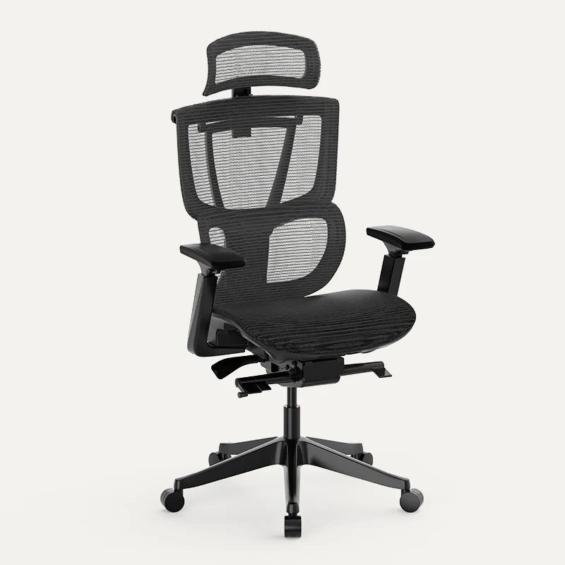 FlexiSpot Premium Ergonomic Office Chair C7