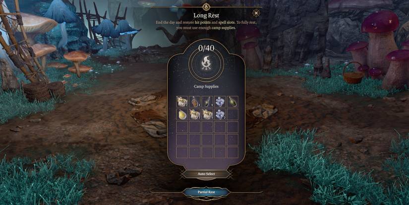 Fully Resting in Baldur's Gate 3