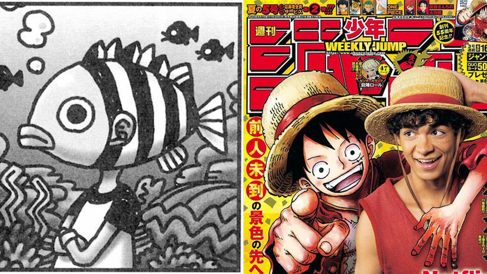One Piece Live-Action Casting Creator Eiichiro Oda