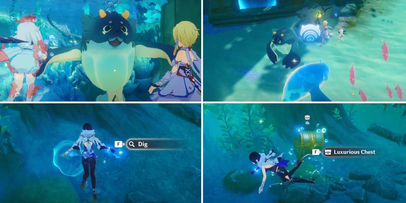 genshin imapct berrypuff guide day 5