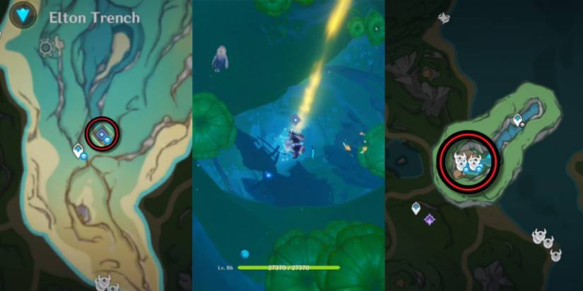 Genshin Impact pluie lotus respawn time material use