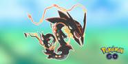 Rayquaza Shiny Mega Rayquaza Shiny Pokemon Go PIFCJJ