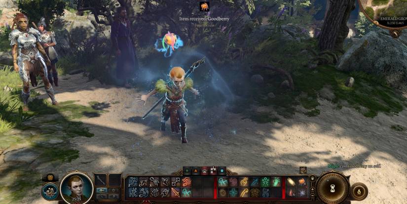 goodberry druid healing spell bg3