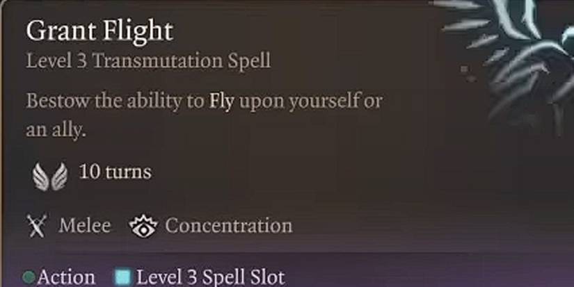 grant flight spell baldurs gate 3
