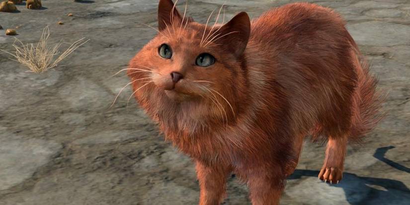 Grub_cat_Baldurs_Gate_3-1