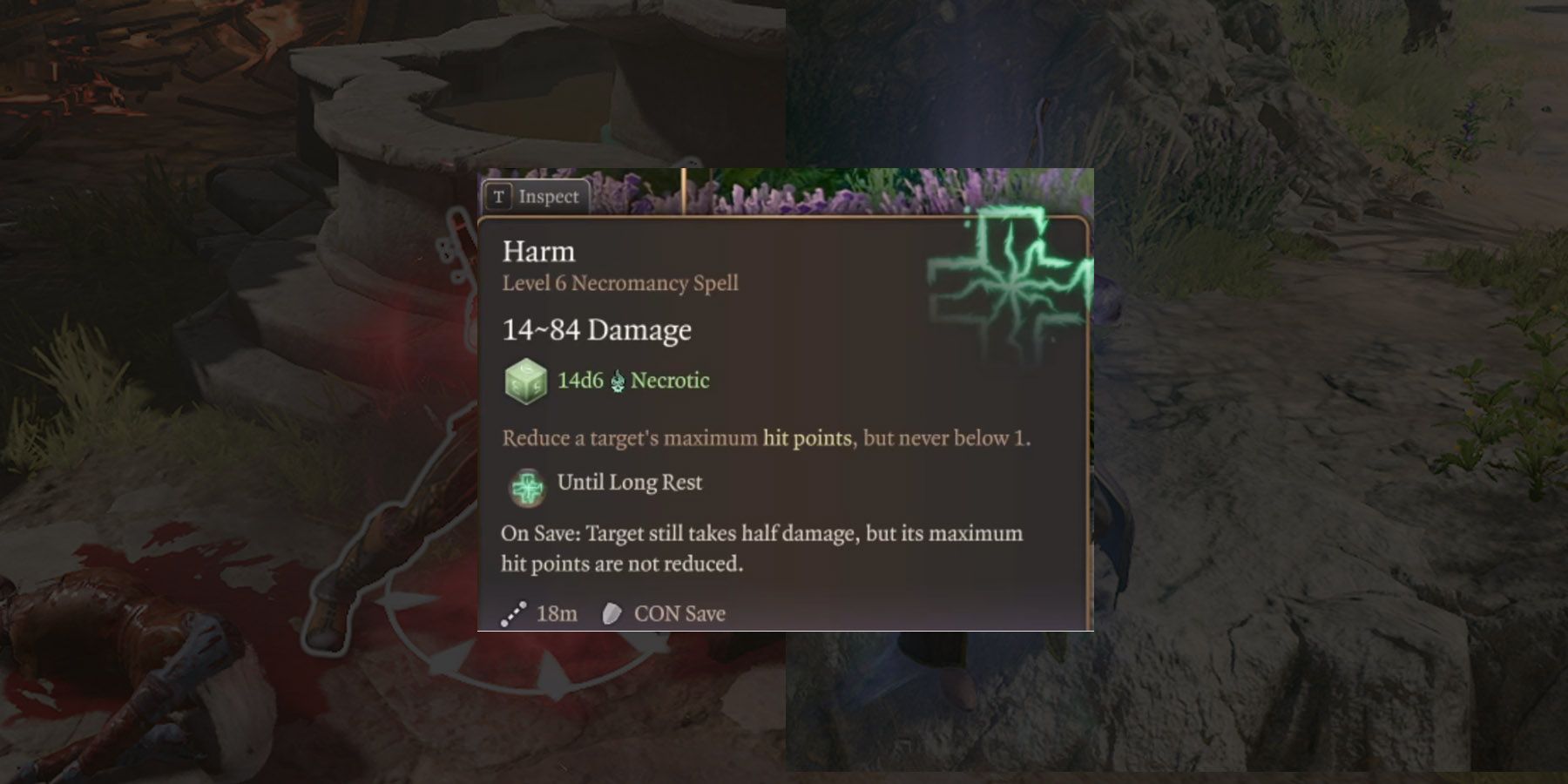 Harm in Baldur's Gate 3