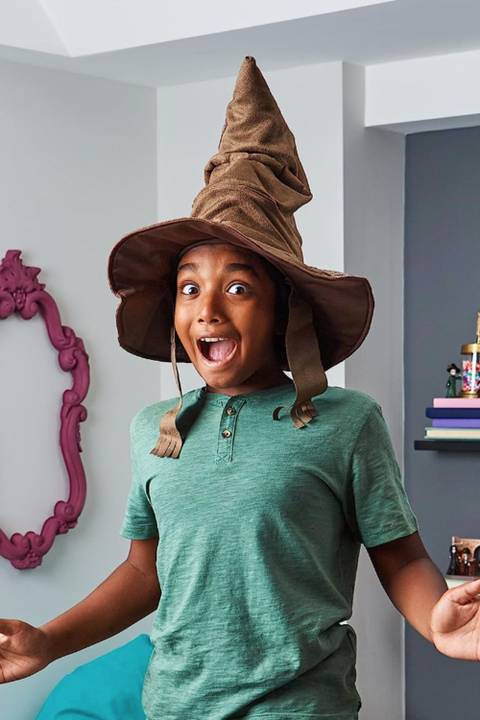 Harry Potter sorting hat