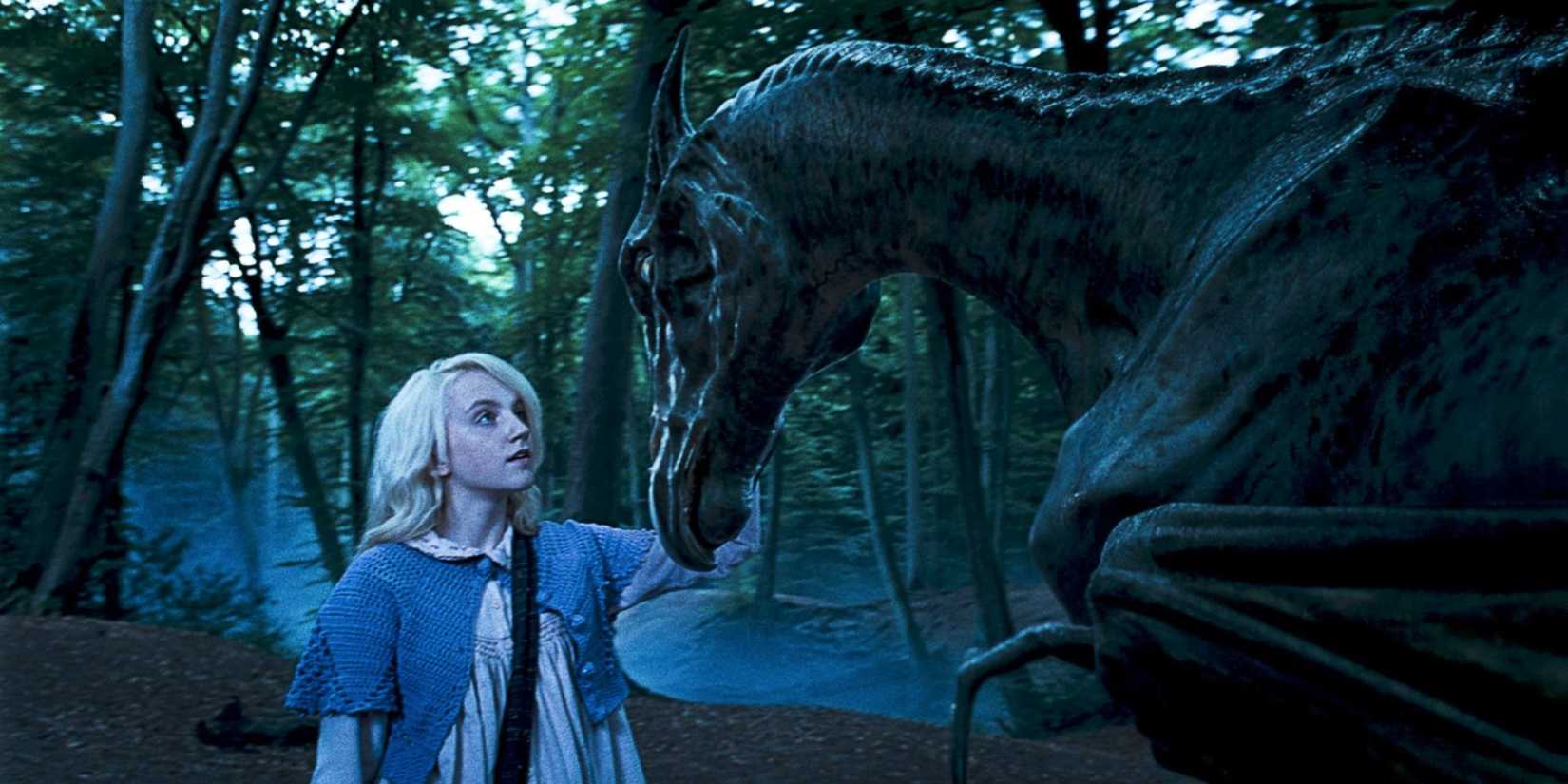 harry potter thestral luna lovegood