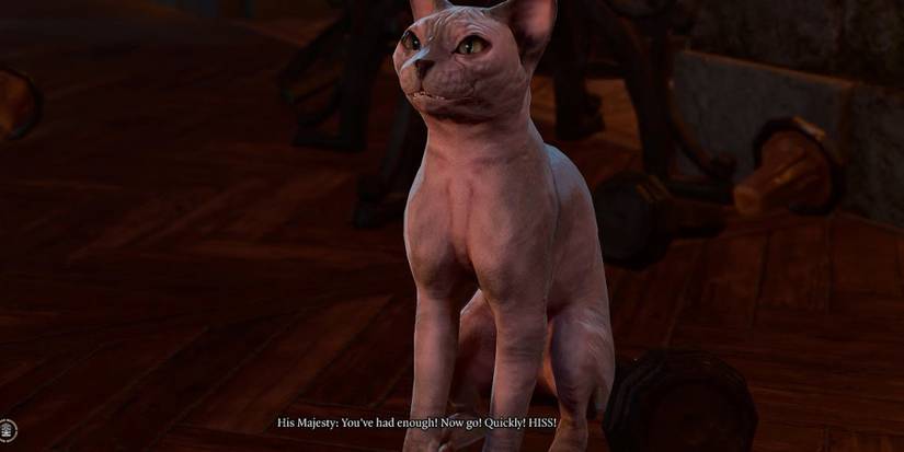 his-majesty-baldurs-gate-3