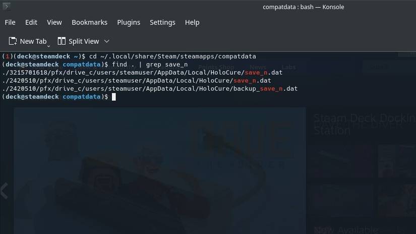 Konsole Response When Searching for HoloCure Save File