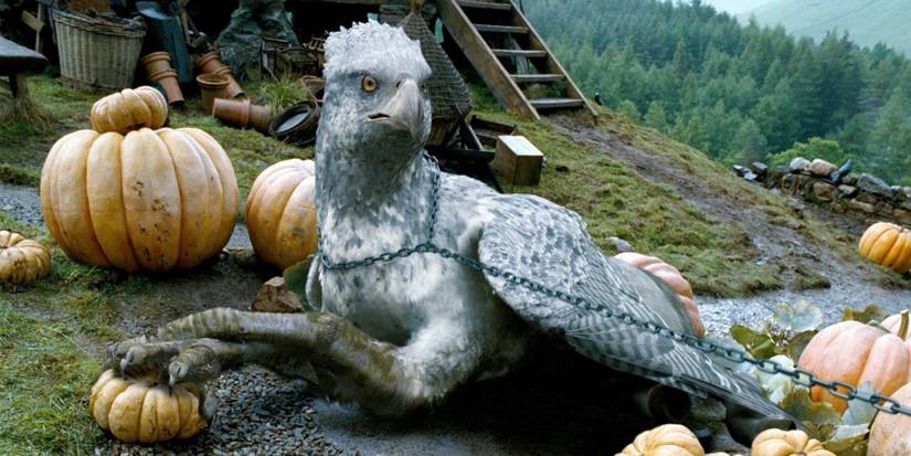 hp-buckbeak
