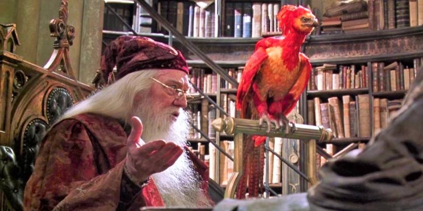 hp-fawkes-dumbledore
