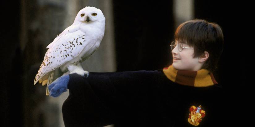 hp-harry-hedwig