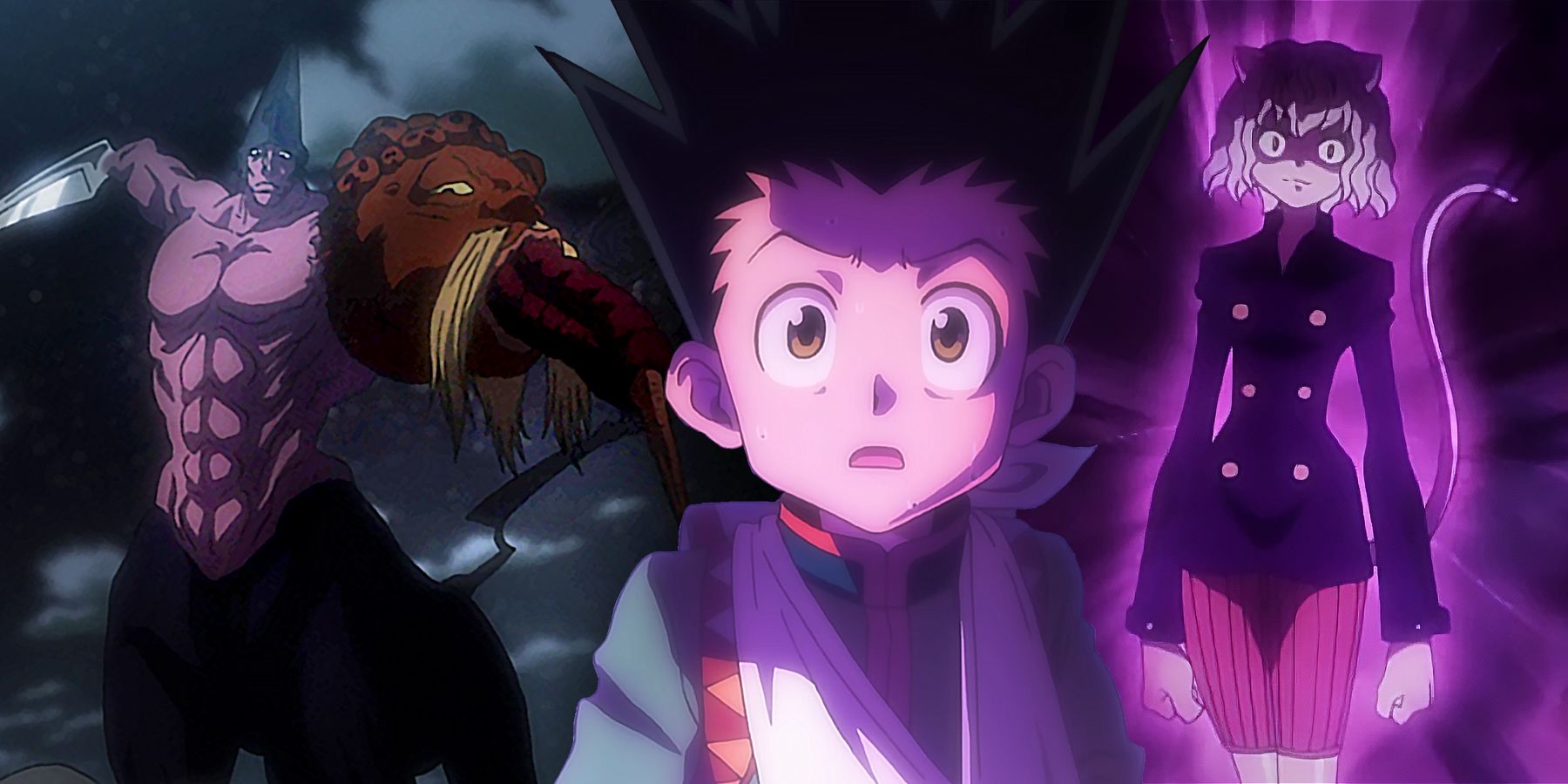 Best Female Characters in 'Hunter x Hunter