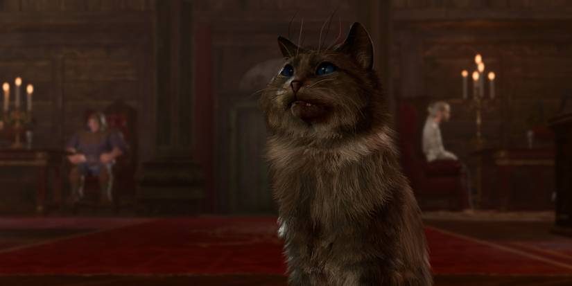 Kira-the-Cat-baldurs-gate-3