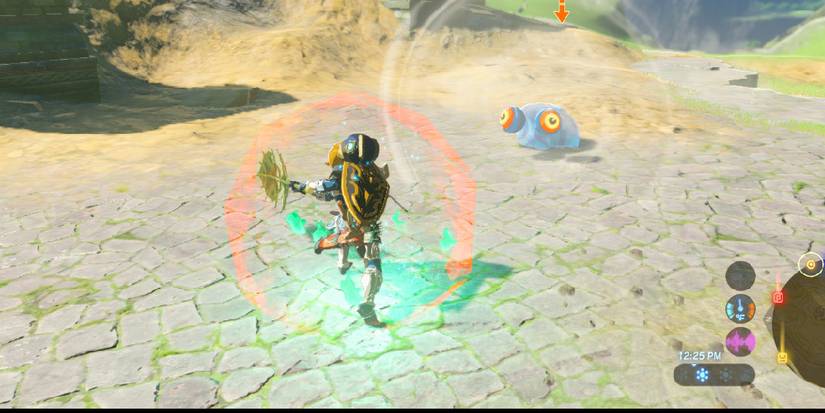 Link swinging a Korok Leaf at a blue ChuChu.
