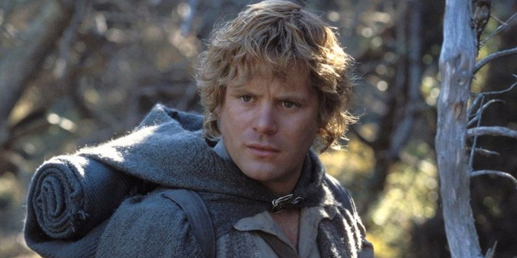 The Lord Of The Rings Samwise Gamgee