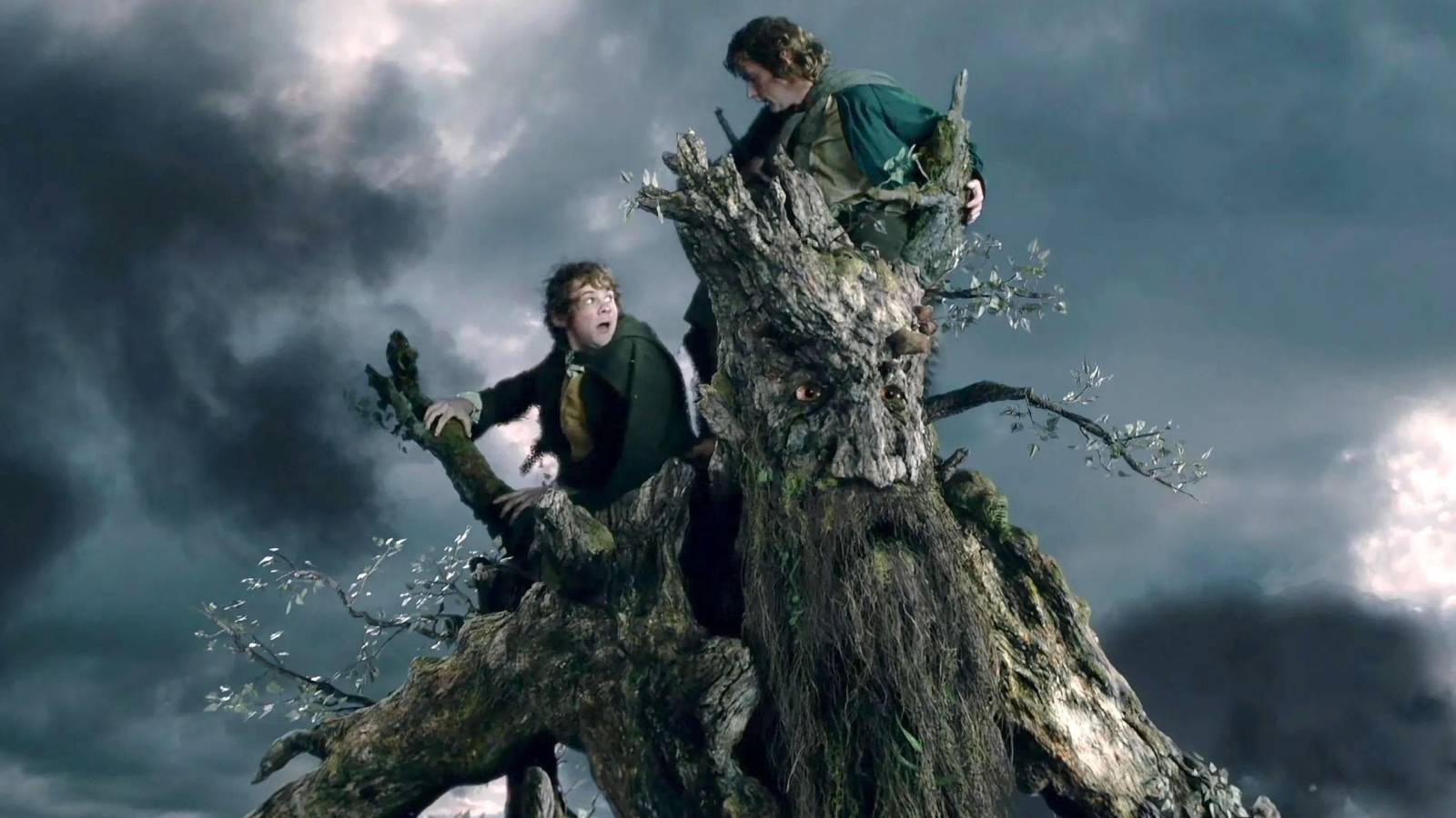 Treebeards Baby LOTR: Why Hasn’t Treebeard Heard Of Hobbits?