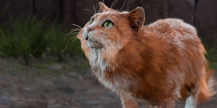 Malta-the-Cat-baldurs-gate-3