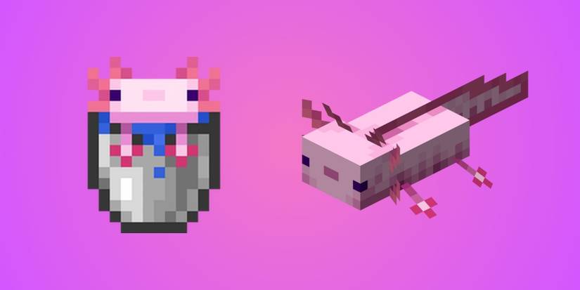 Minecraft-axolotl