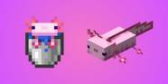 Wie Z hmt Man Axolotl In Minecraft
