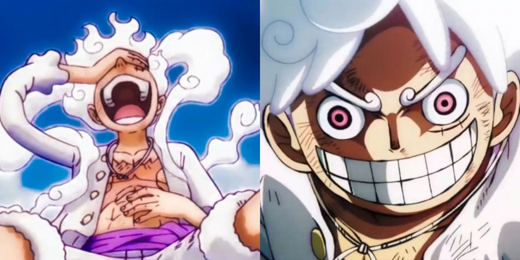 Oda said that Devil Fruit Users instinctively know the name of their fruit.  So, how did Luffy not realise he had the Hito Hito no Mi Model Nika, and  not the Gomu