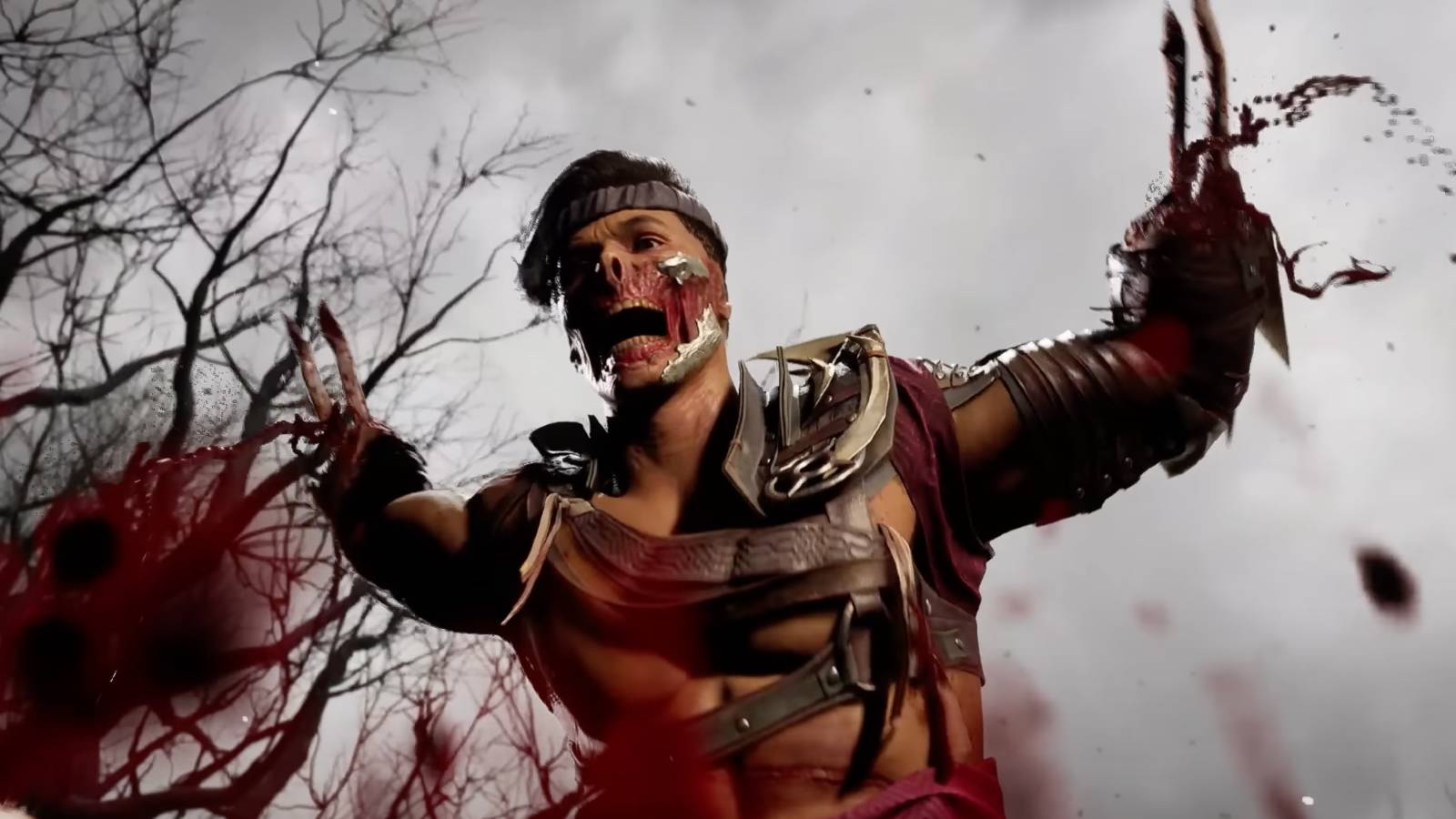 Mortal Kombat 1 Character Havik Explained