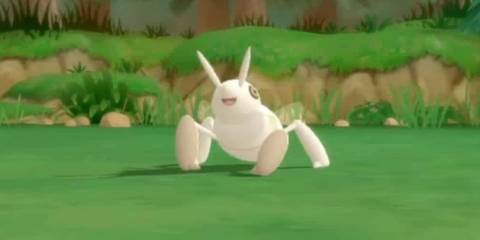 A Nincada cries out as it battles with the player character.