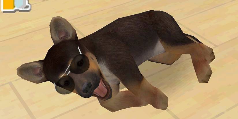 Nintendogs Dog lies on ground wearing humorous sunshades