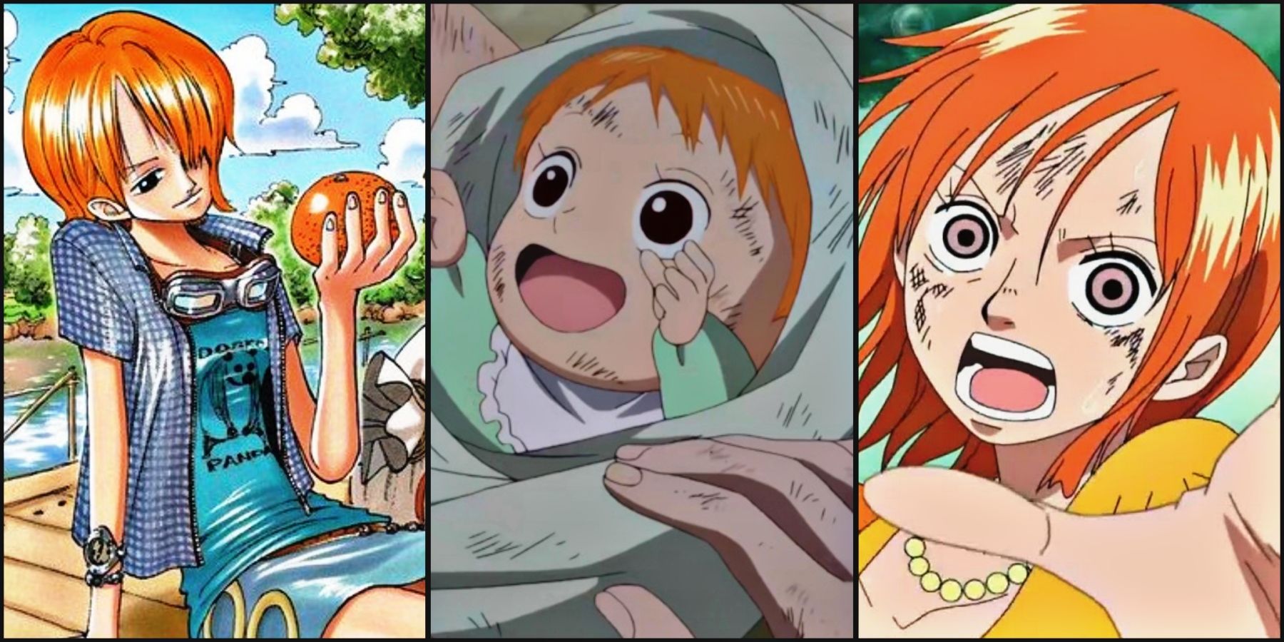 Nami's father confirmed ( maybe ) : r/OnePiece