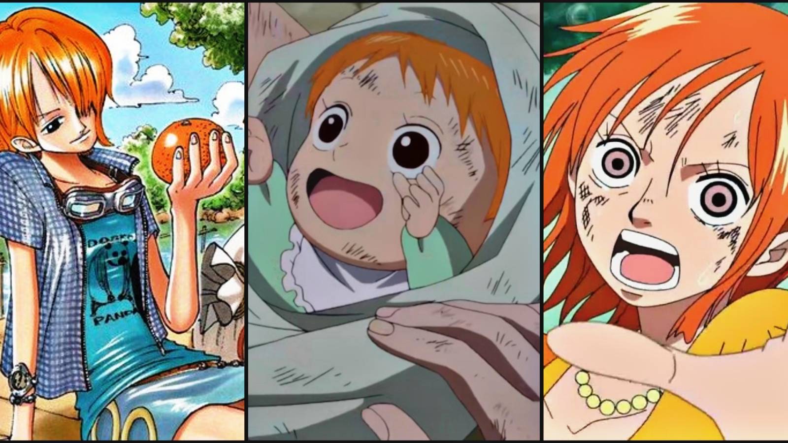 One Piece Nami Birth and Past