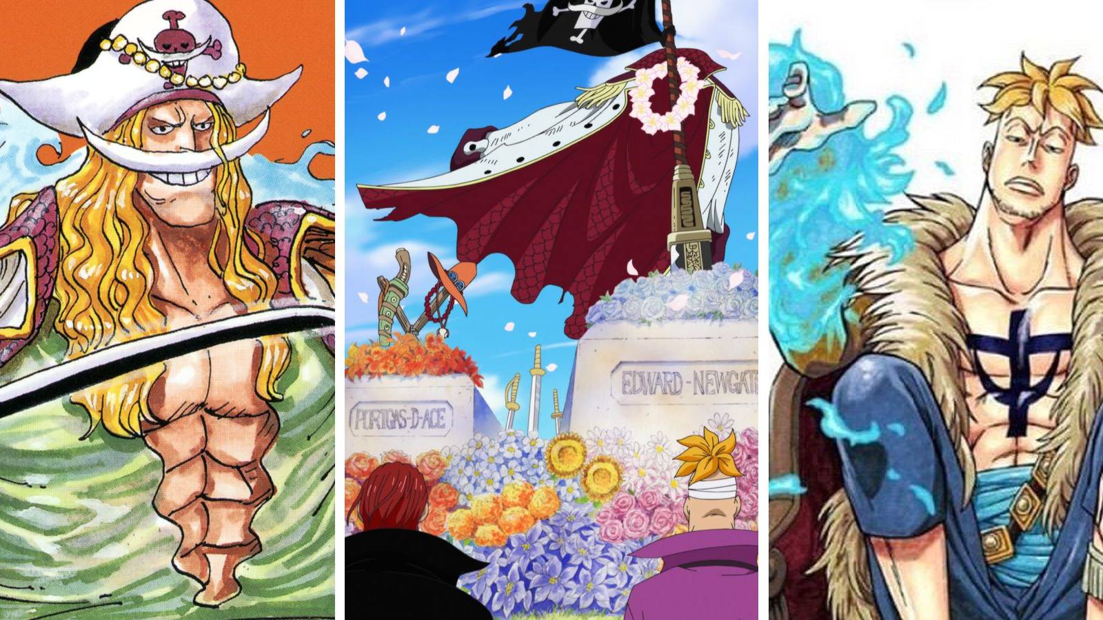 One Piece Whitebeard Marco