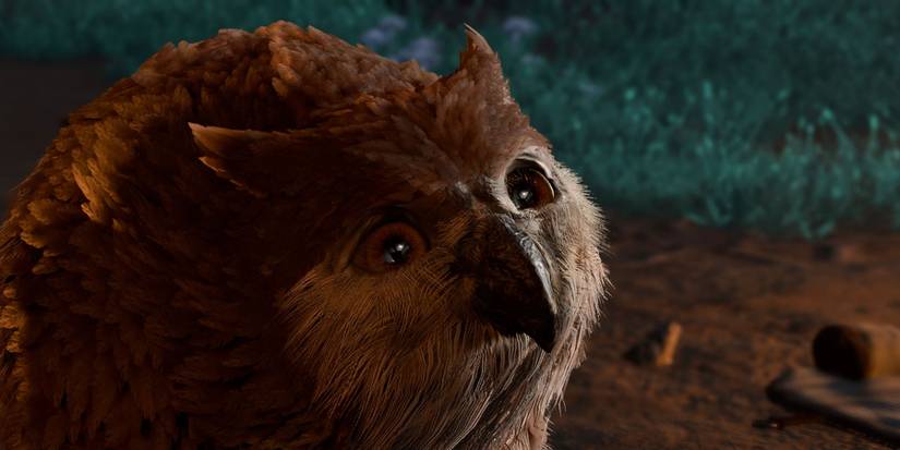 Owlbear Cub