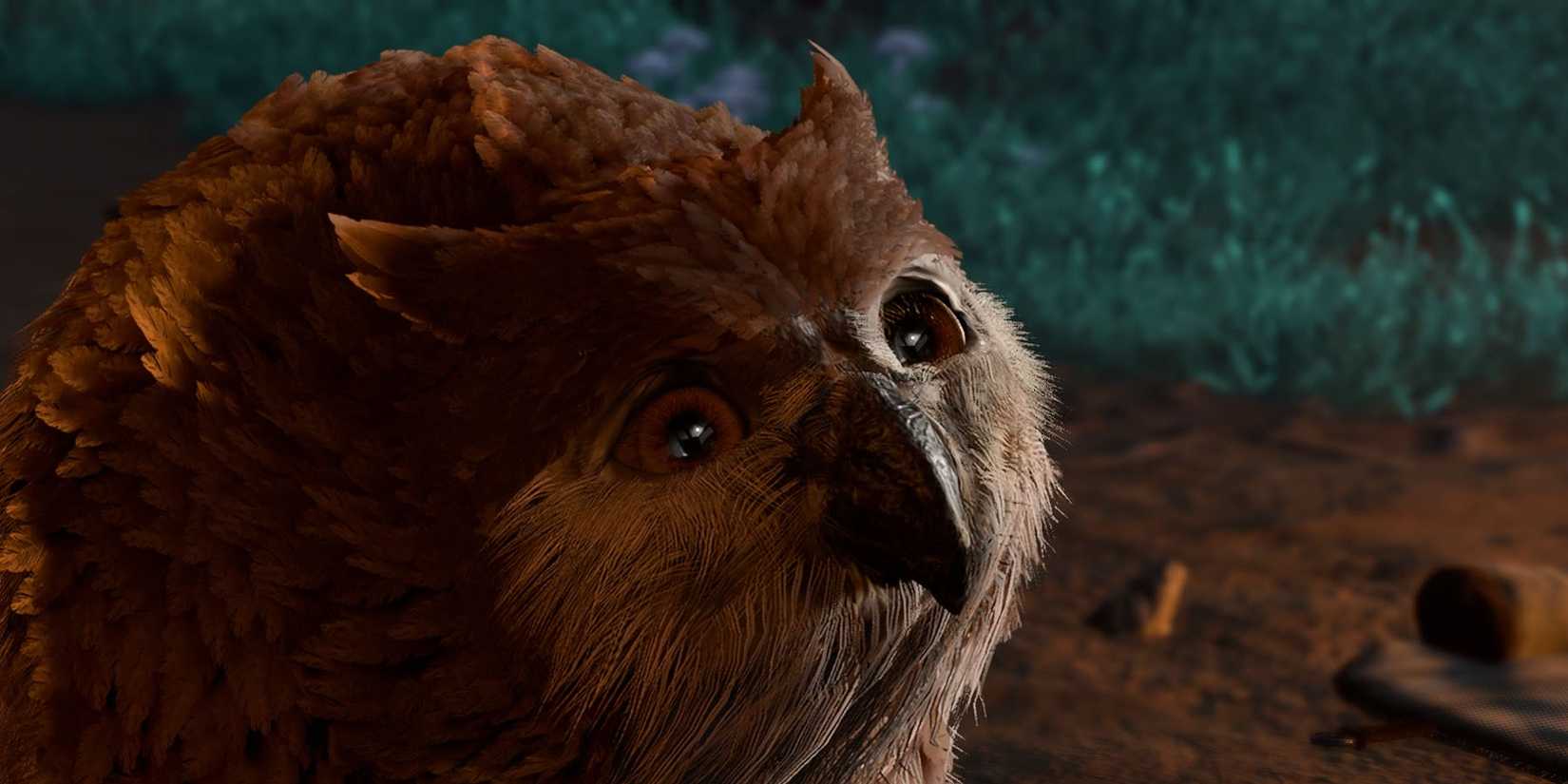 Owlbear Cub