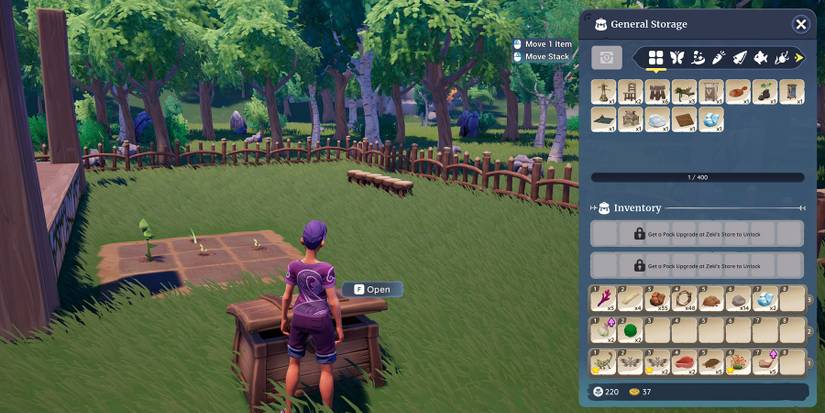 Storage Chest in Palia.