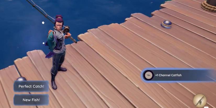 Palia How to Catch Channel Catfish (1)