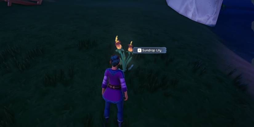 Palia-How-To-Complete-Bouquet-Sunshine