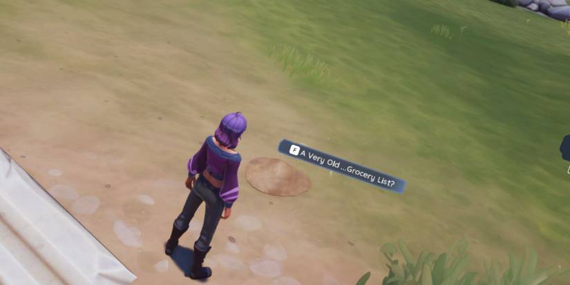 palia old grocery list location