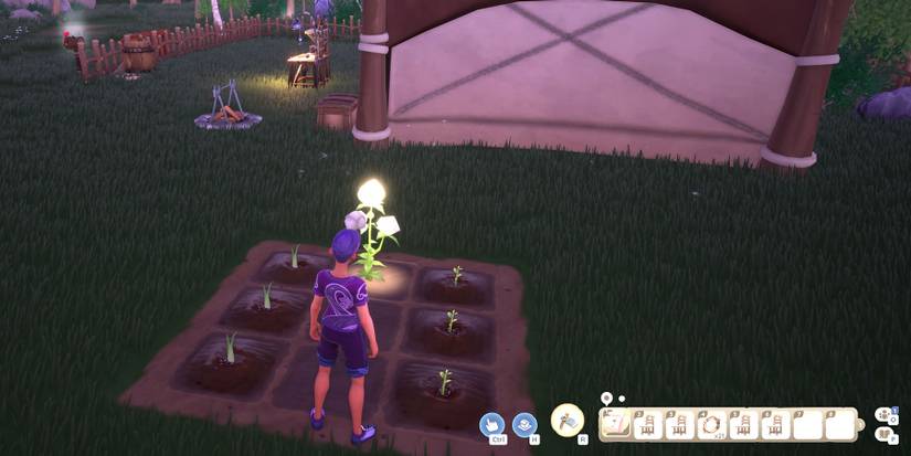 Planting Cotton Seeds in Palia.