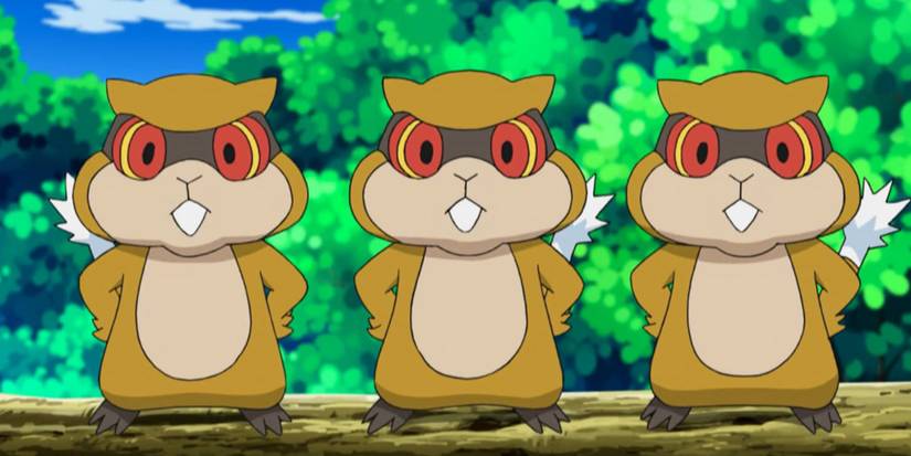 Patrat In The Pokemon Anime