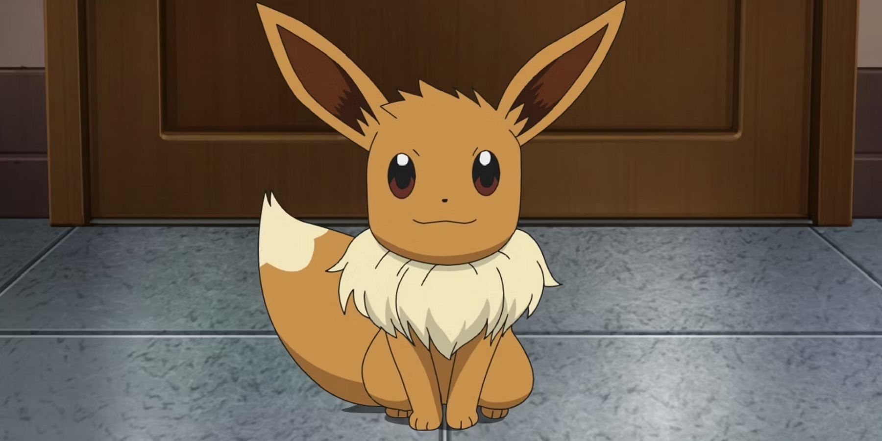 pokemon anime eevee